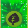 Grass Energy