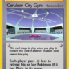 Cerulean City Gym
