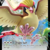 Pidgeot V