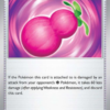 Payapa Berry