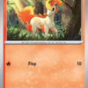 Ponyta