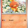 Torchic