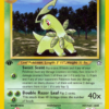 Bayleef