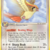 Pidgeot