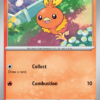 Torchic