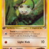 Brock's Mankey