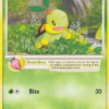 Turtwig
