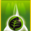 Grass Energy